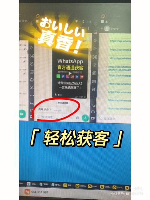 如何选择合适的YY多开器？不同YY多开器的功能对比