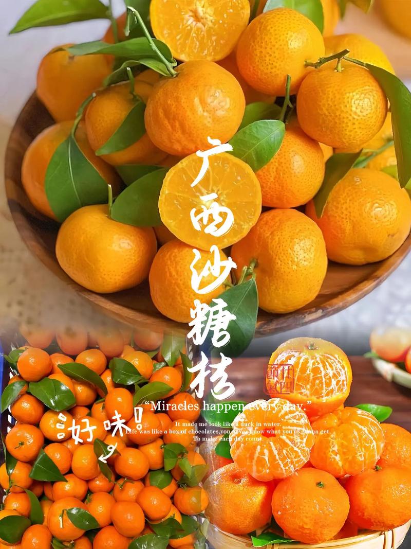 沙糖桔什么梗？火爆全网的“小砂糖橘”事件始末
