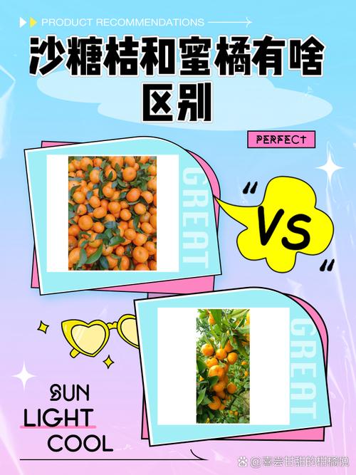 沙糖桔什么梗？火爆全网的“小砂糖橘”事件始末