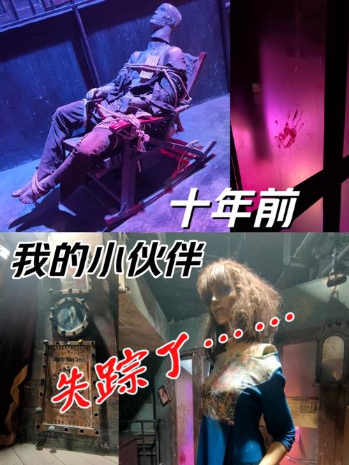 失踪的同伴：一场惊悚的野外探险