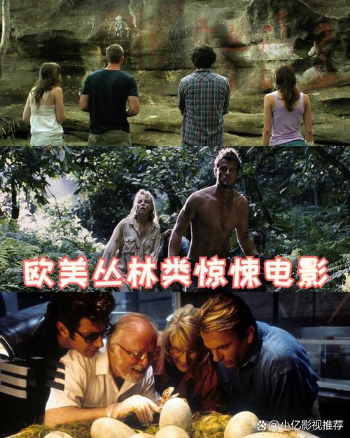 失踪的同伴：一场惊悚的野外探险