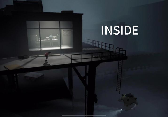 Inside游戏深度解析：揭秘隐藏剧情与谜题