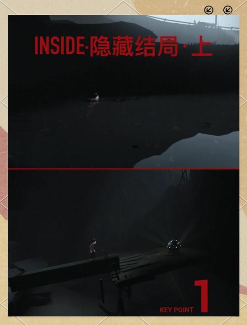 Inside游戏深度解析：揭秘隐藏剧情与谜题
