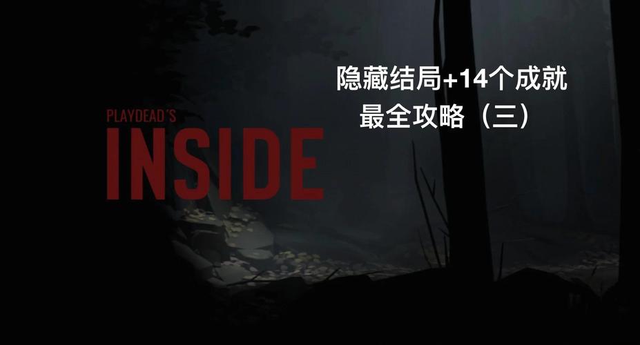 Inside游戏深度解析：揭秘隐藏剧情与谜题