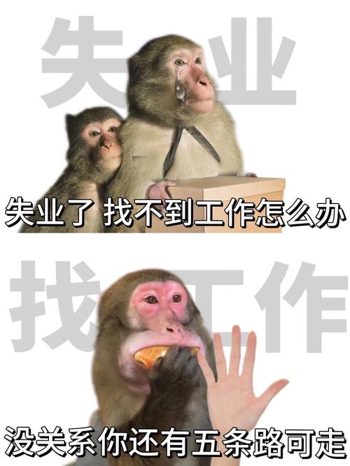 还在为找工作烦恼？淘工作首页帮你解决难题