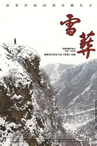 电影238364：演员阵容和剧情介绍