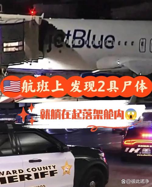 飞机上有僵尸！恐怖航班惊魂实录
