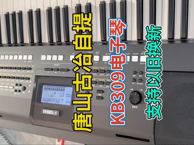 电子琴游戏大全：各种类型任你选