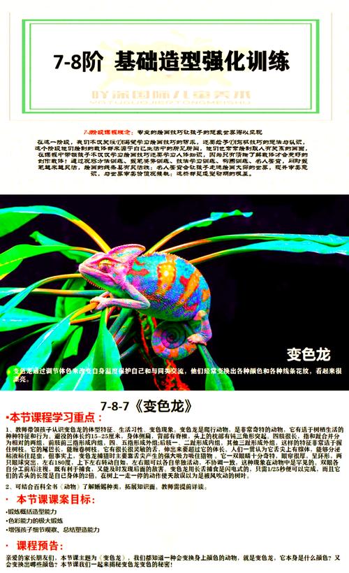 变色龙引导安装详解：快速上手，一步步教你装！