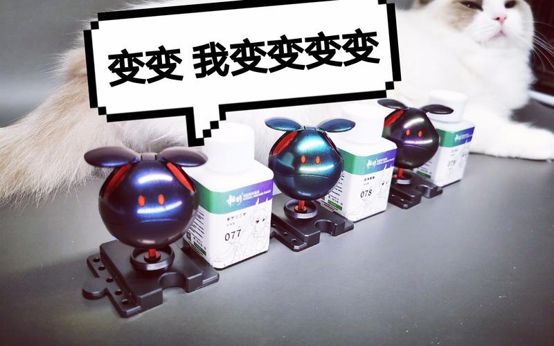 变色龙引导安装详解：快速上手，一步步教你装！
