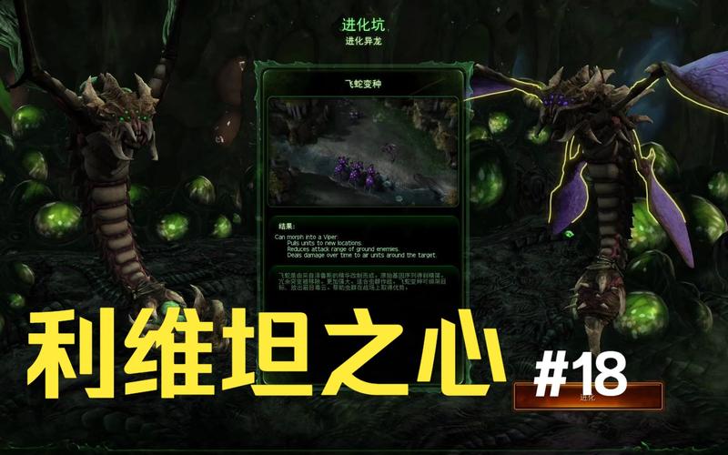 解锁螳螂群之心：魔兽世界玩家必看详细指南