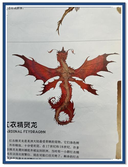 精灵龙宝宝的秘密：揭秘精灵龙宝宝的可爱之处