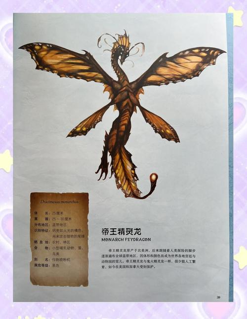 精灵龙宝宝的秘密：揭秘精灵龙宝宝的可爱之处