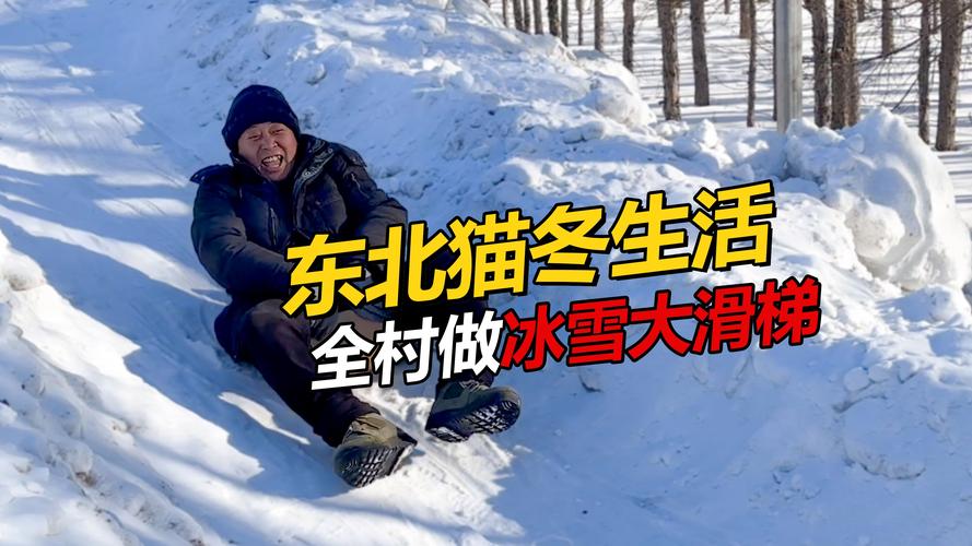 北方人猫冬的乐趣：温暖舒适，享受冬日时光！