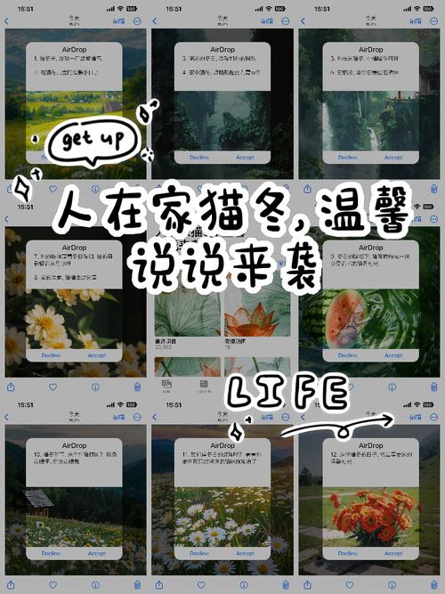 北方人猫冬的乐趣：温暖舒适，享受冬日时光！