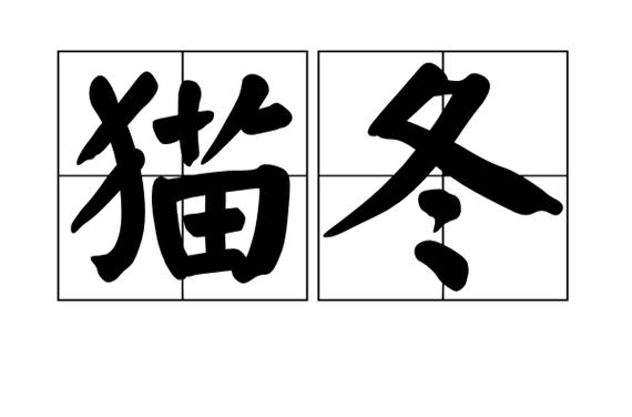 北方人猫冬的乐趣：温暖舒适，享受冬日时光！