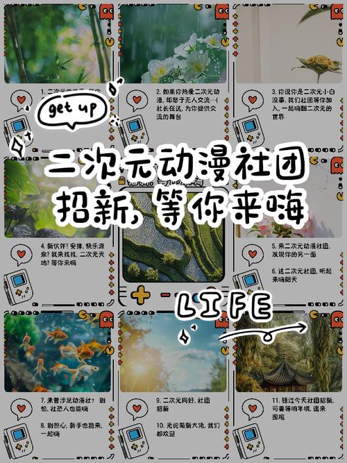 小森生活社团招募技巧：如何快速找到合适的社团