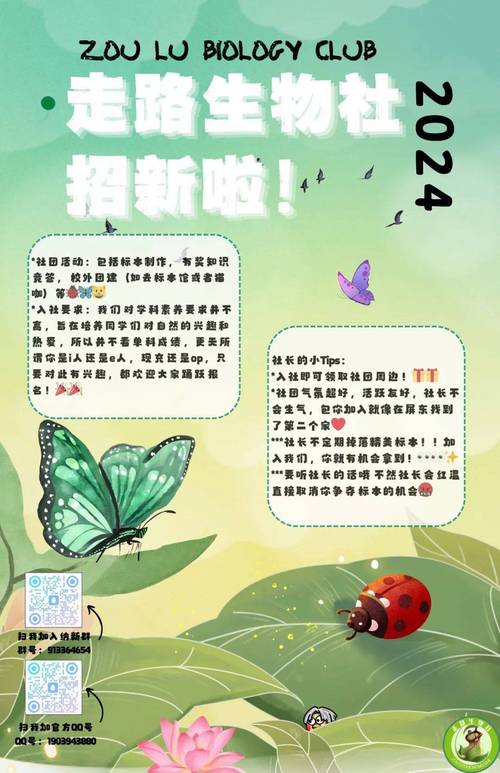 小森生活社团招募技巧：如何快速找到合适的社团