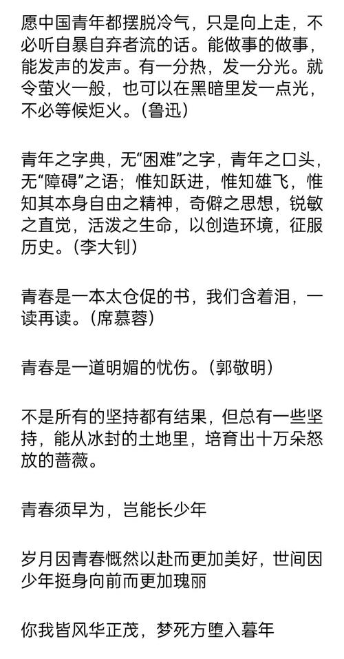 燃烧的青春：校园里的激情与梦想碰撞