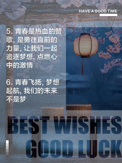 燃烧的青春：校园里的激情与梦想碰撞