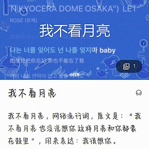 我不看月亮，这句歌词背后的故事