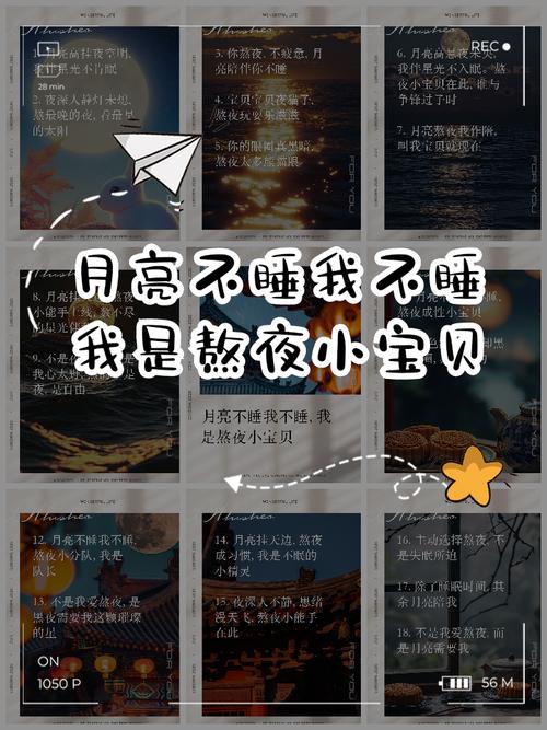 我不看月亮，这句歌词背后的故事