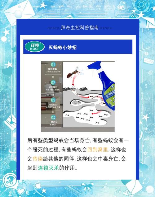 蚂蚁大作战游戏攻略：快速上手，轻松制胜！
