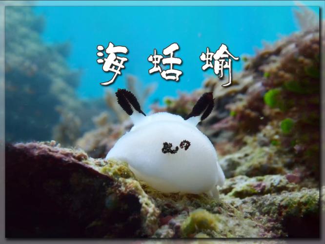 海兔是什么？它和海牛、海蛞蝓有什么关系？