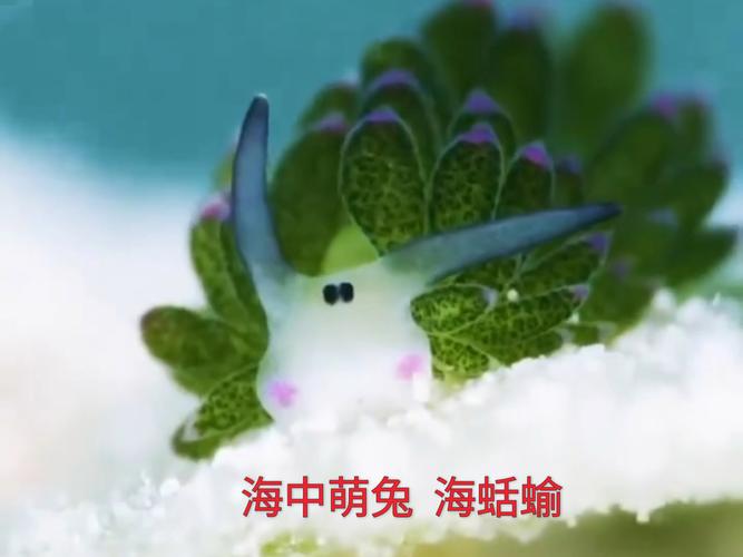 海兔是什么？它和海牛、海蛞蝓有什么关系？
