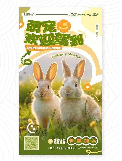 宠物梦工厂：打造你的宠物乐园，开启萌宠新生活