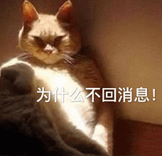 养鸡表情包大全：超萌动图GIF火爆来袭！