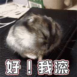 养鸡表情包大全：超萌动图GIF火爆来袭！