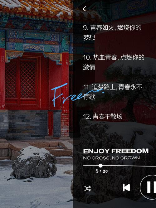 回顾TYS战队2016：辉煌战绩与热血青春