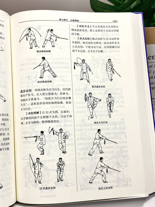 热门太极熊猫攻略：经典职业玩法深度解析