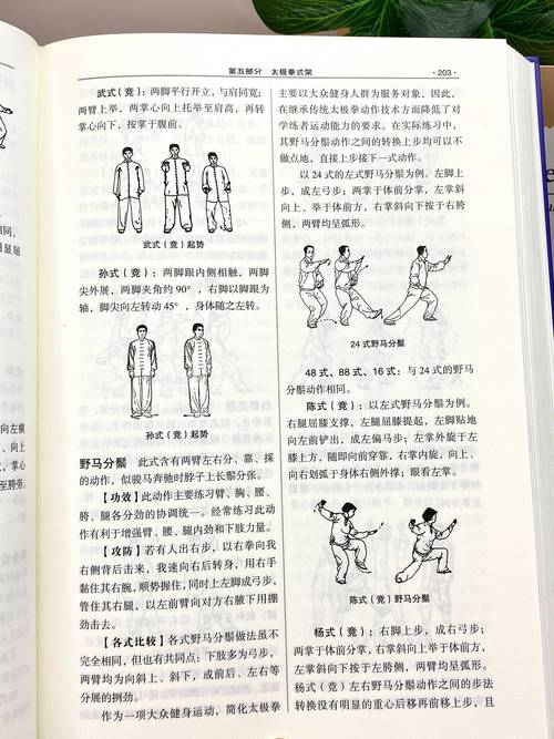 热门太极熊猫攻略：经典职业玩法深度解析