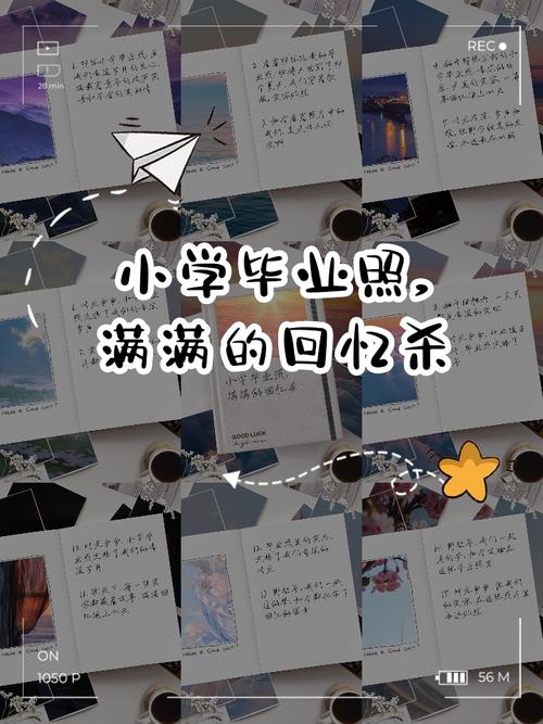 回忆杀！金色的琴弦2带你重返青春校园