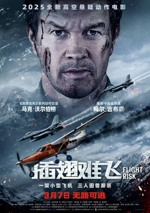 小鸟的复仇：一场蓄谋已久的报复