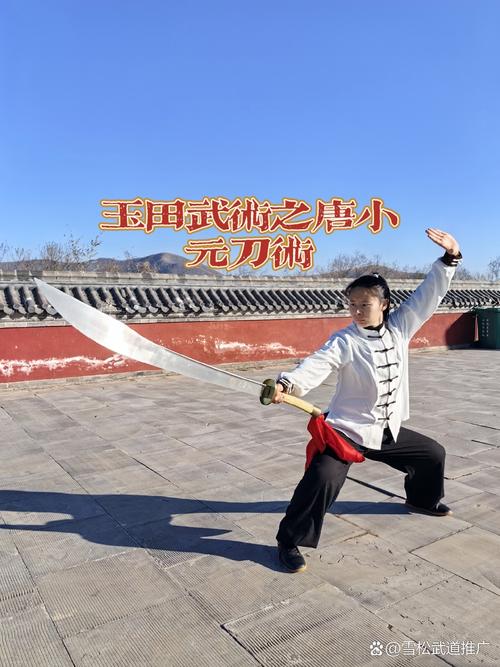 刀剑双刀连招教学视频：超详细的连招演示讲解