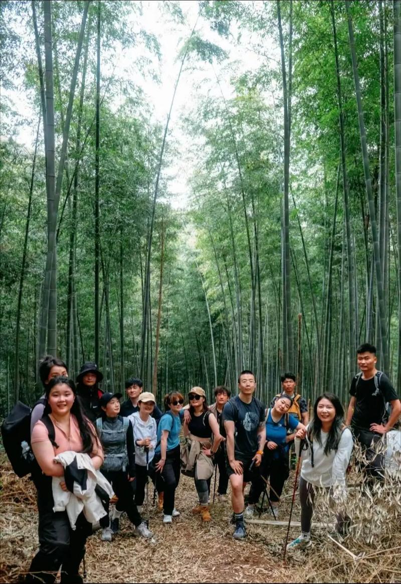 一起爬山吗？结伴同行，感受山间清新空气