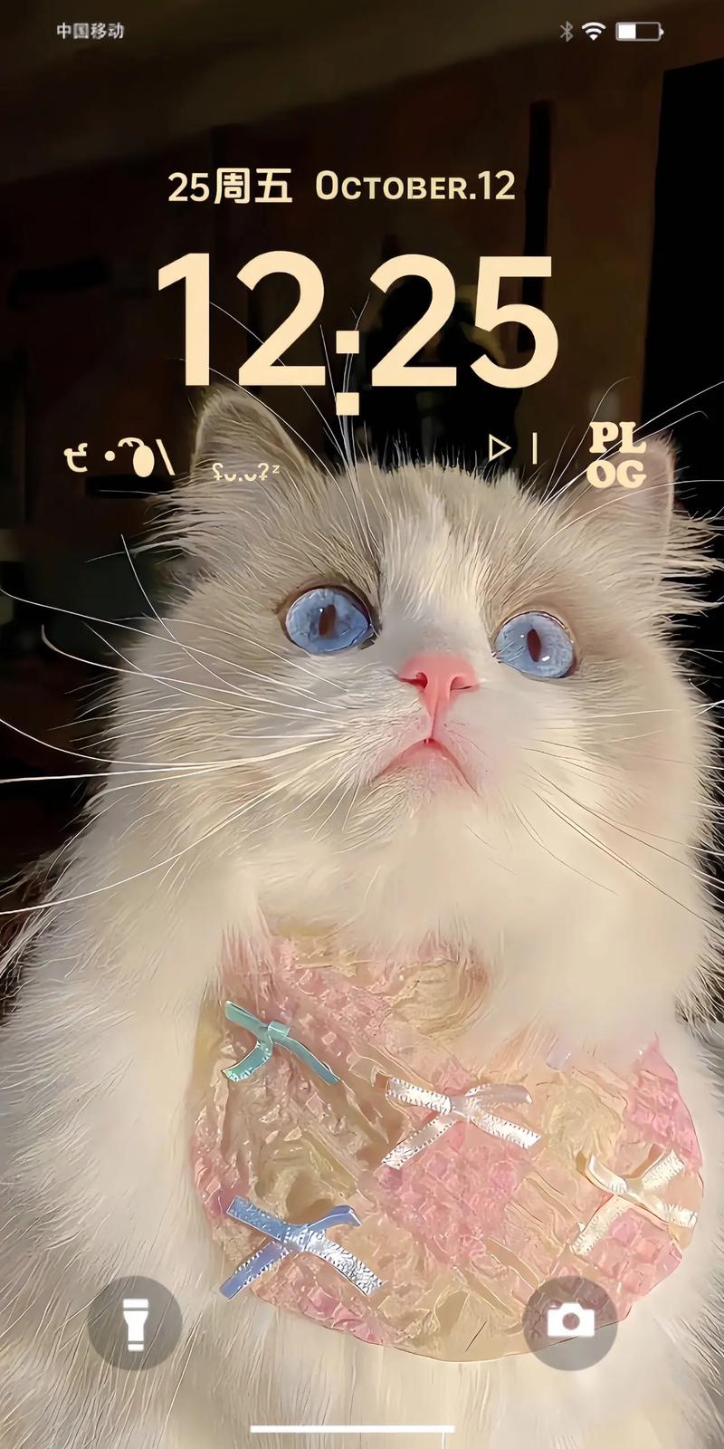 想看治愈系猫咪？猫咪物语4不容错过
