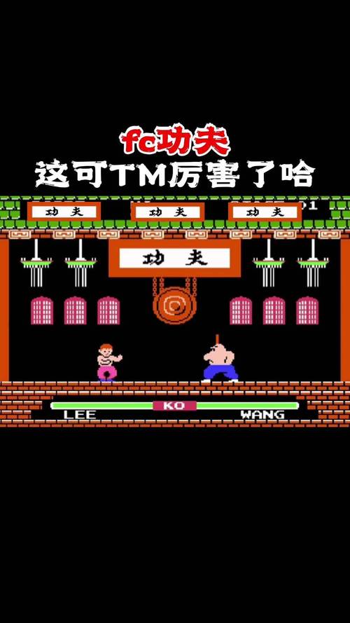 回忆杀！功夫小英雄：那些年我们追过的青春动作剧！