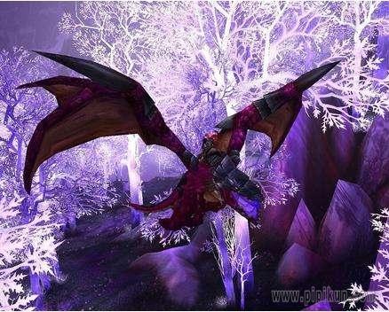 快速完成魔兽世界火焰节成就，解锁紫色始祖幼龙！