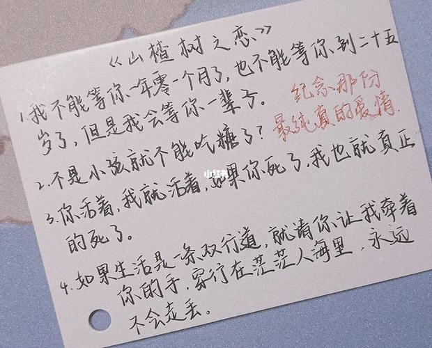 山杂树之恋电视剧解说：错过的人，错过的情