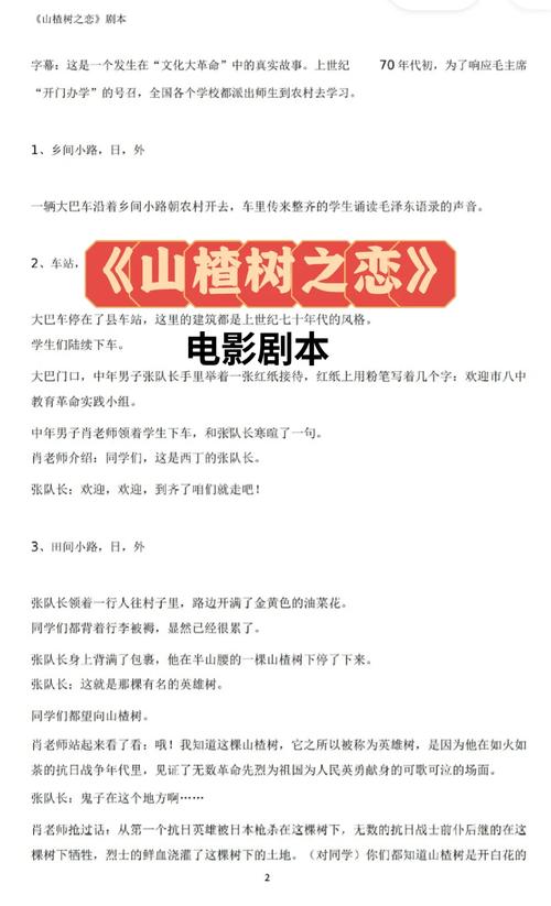 山杂树之恋电视剧解说：错过的人，错过的情