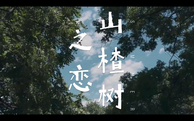 山杂树之恋电视剧解说：错过的人，错过的情