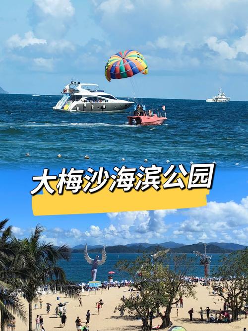 海滨嘉年华：体验热带海滩的无限魅力