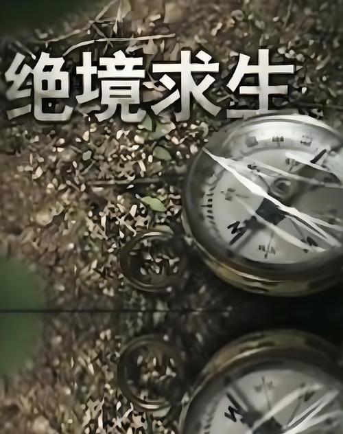 我是主人公：绝境求生，在人间炼狱中挣扎求存
