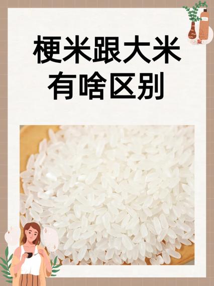 厚米梗的含义是什么？厚米是什么意思？