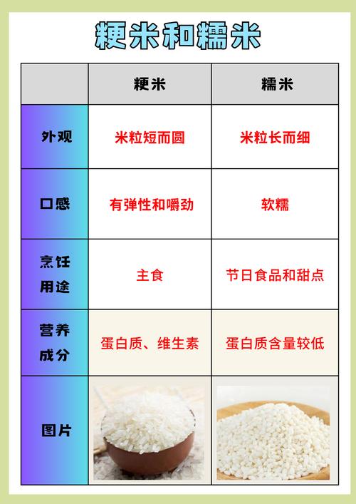 厚米梗的含义是什么？厚米是什么意思？