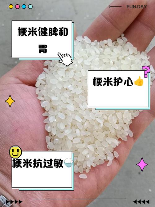 厚米梗的含义是什么？厚米是什么意思？